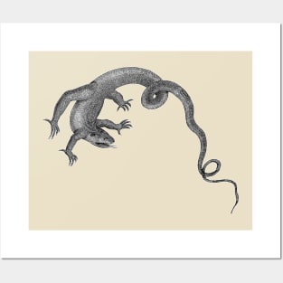 Komodo Dragon | Giant Lizard Reptile Posters and Art